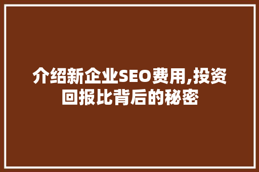 介绍新企业SEO费用,投资回报比背后的秘密