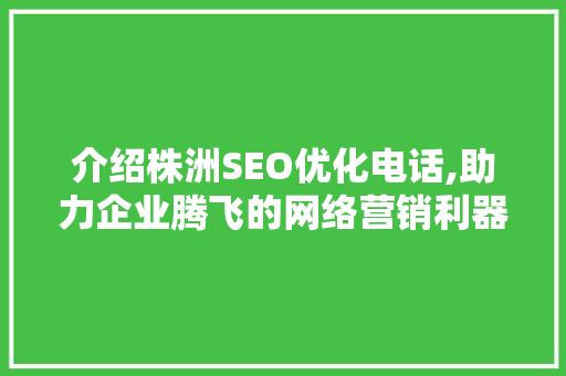 介绍株洲SEO优化电话,助力企业腾飞的网络营销利器