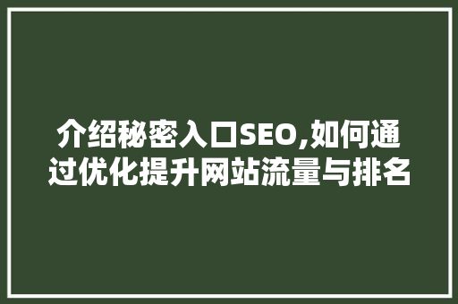 介绍秘密入口SEO,如何通过优化提升网站流量与排名
