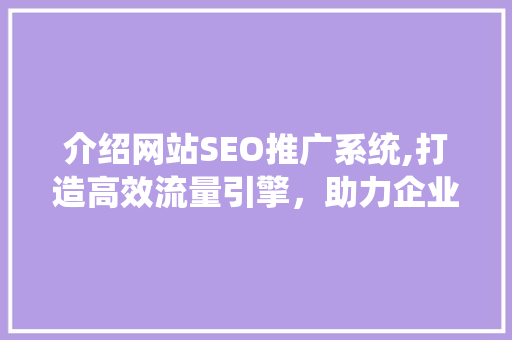 介绍网站SEO推广系统,打造高效流量引擎，助力企业腾飞