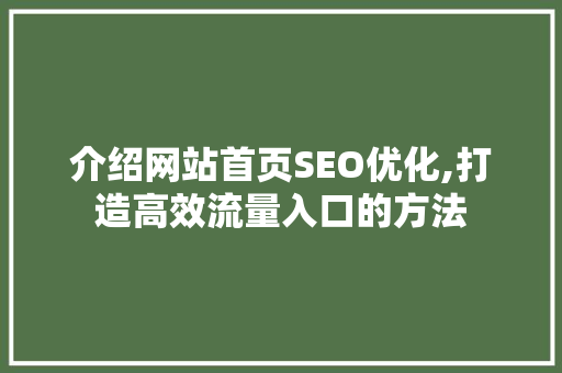 介绍网站首页SEO优化,打造高效流量入口的方法