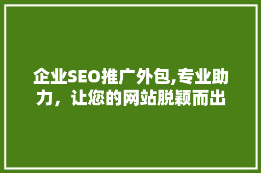 企业SEO推广外包,专业助力，让您的网站脱颖而出