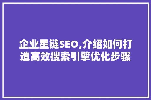 企业星链SEO,介绍如何打造高效搜索引擎优化步骤