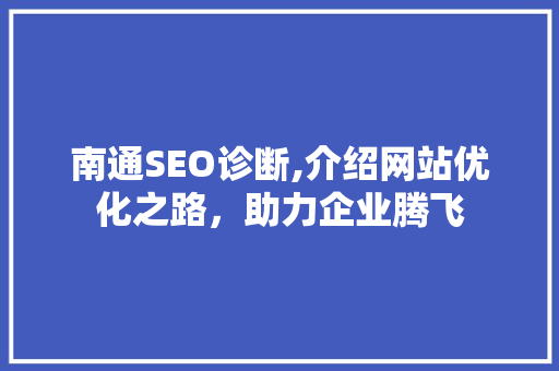 南通SEO诊断,介绍网站优化之路，助力企业腾飞