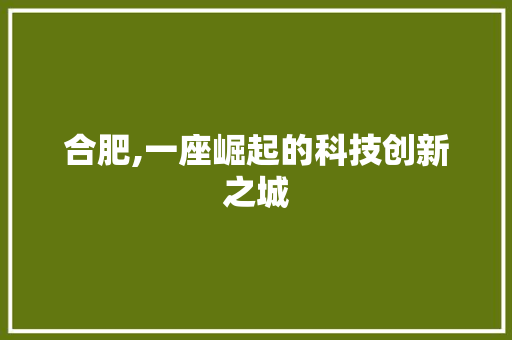 合肥,一座崛起的科技创新之城