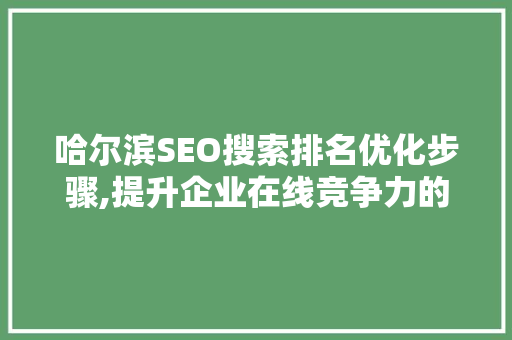 哈尔滨SEO搜索排名优化步骤,提升企业在线竞争力的秘密武器