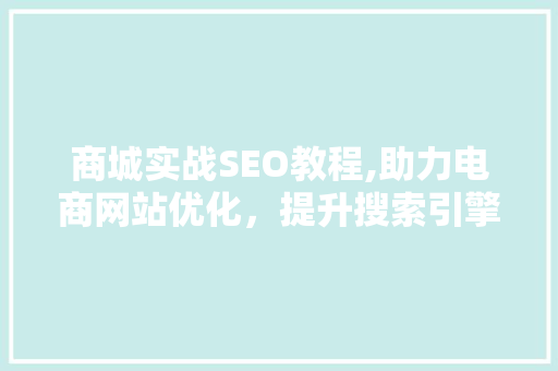 商城实战SEO教程,助力电商网站优化，提升搜索引擎排名