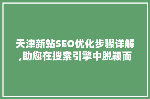 天津新站SEO优化步骤详解,助您在搜索引擎中脱颖而出