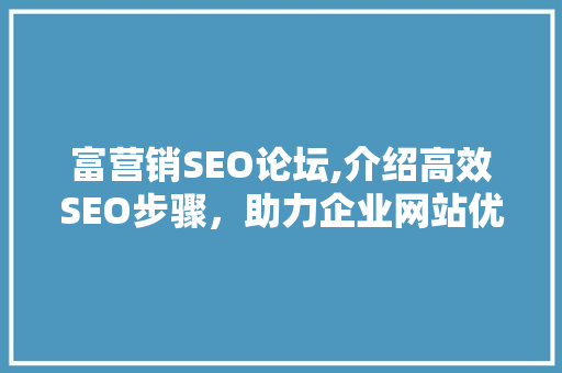 富营销SEO论坛,介绍高效SEO步骤，助力企业网站优化