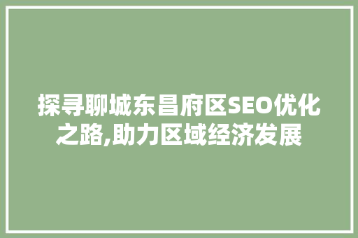 探寻聊城东昌府区SEO优化之路,助力区域经济发展  第1张