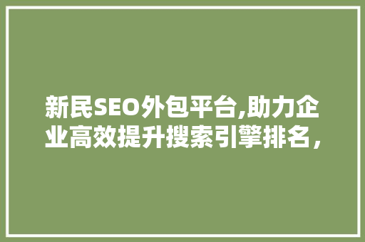 新民SEO外包平台,助力企业高效提升搜索引擎排名，抢占网络市场先机  第1张