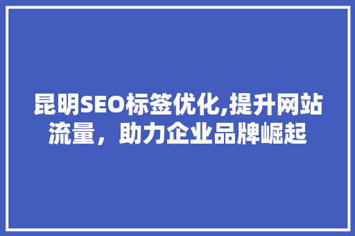 昆明SEO标签优化,提升网站流量，助力企业品牌崛起