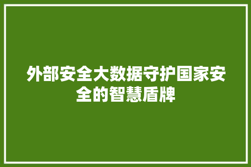 外部安全大数据守护国家安全的智慧盾牌  第1张