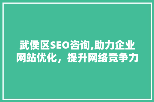 武侯区SEO咨询,助力企业网站优化，提升网络竞争力