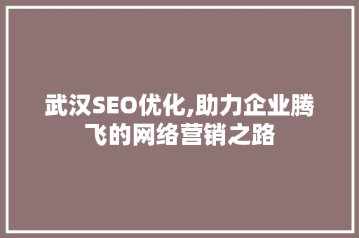 武汉SEO优化,助力企业腾飞的网络营销之路