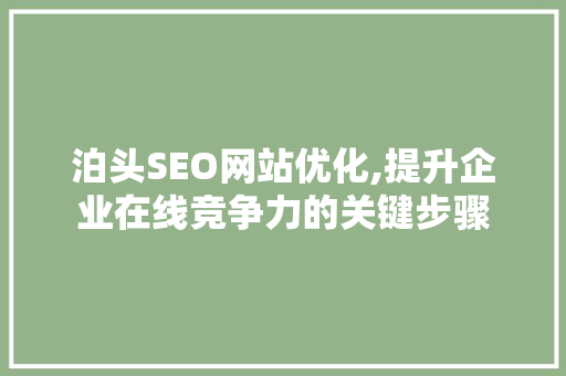 泊头SEO网站优化,提升企业在线竞争力的关键步骤
