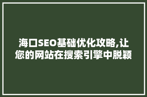 海口SEO基础优化攻略,让您的网站在搜索引擎中脱颖而出