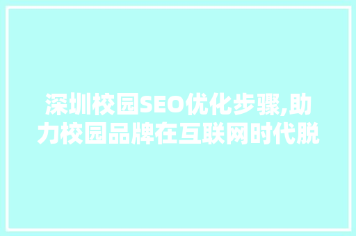 深圳校园SEO优化步骤,助力校园品牌在互联网时代脱颖而出