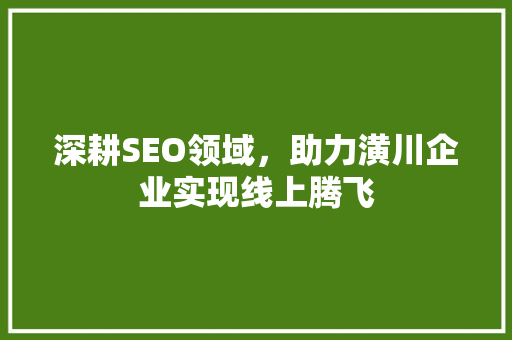 深耕SEO领域，助力潢川企业实现线上腾飞