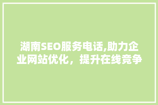 湖南SEO服务电话,助力企业网站优化，提升在线竞争力