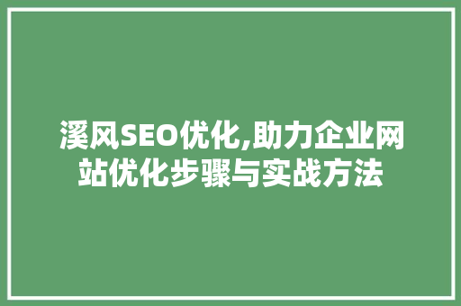 溪风SEO优化,助力企业网站优化步骤与实战方法