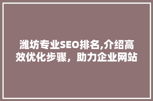 潍坊专业SEO排名,介绍高效优化步骤，助力企业网站脱颖而出