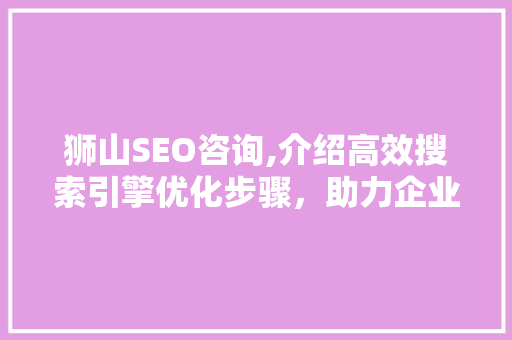 狮山SEO咨询,介绍高效搜索引擎优化步骤，助力企业互联网营销