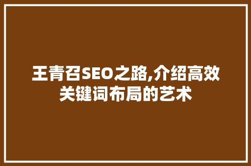 王青召SEO之路,介绍高效关键词布局的艺术
