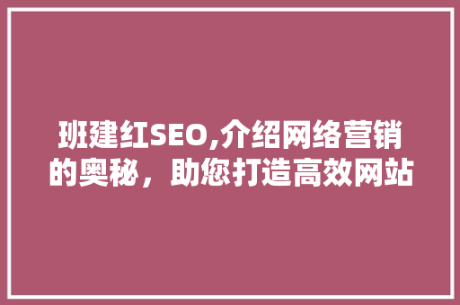 班建红SEO,介绍网络营销的奥秘，助您打造高效网站