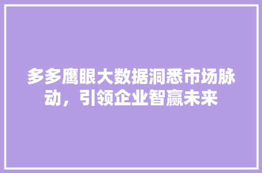 多多鹰眼大数据洞悉市场脉动，引领企业智赢未来