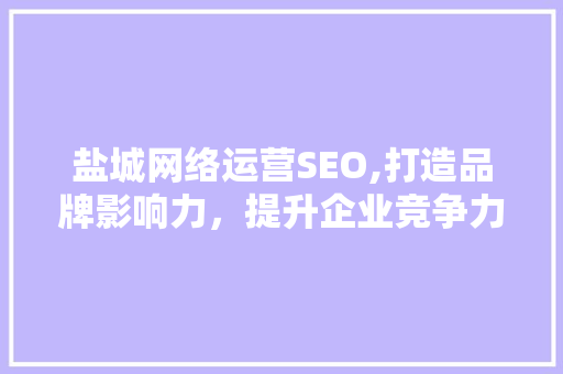 盐城网络运营SEO,打造品牌影响力，提升企业竞争力