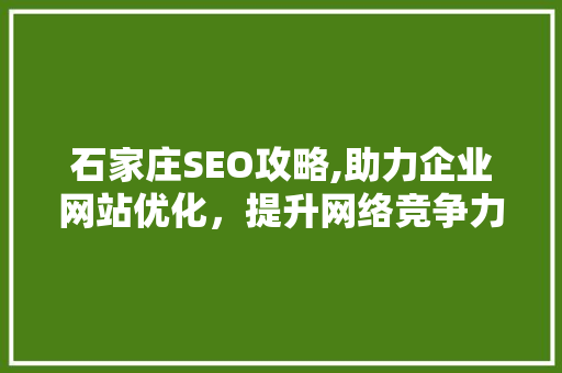 石家庄SEO攻略,助力企业网站优化，提升网络竞争力