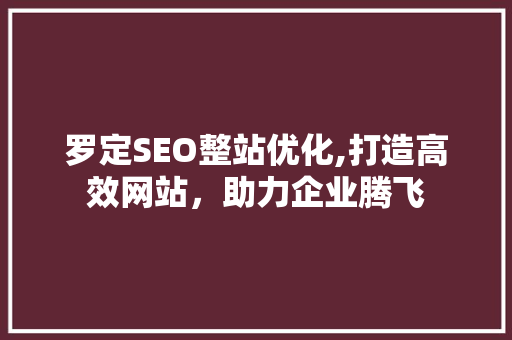 罗定SEO整站优化,打造高效网站，助力企业腾飞