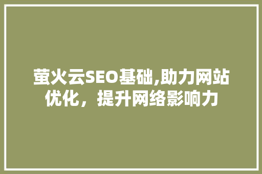 萤火云SEO基础,助力网站优化，提升网络影响力