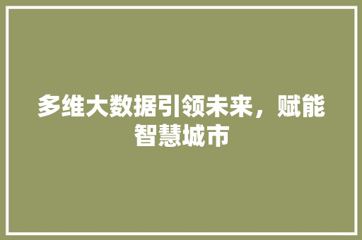 多维大数据引领未来，赋能智慧城市  第1张