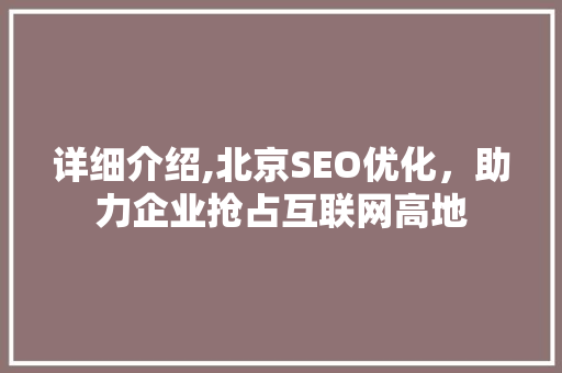 详细介绍,北京SEO优化，助力企业抢占互联网高地
