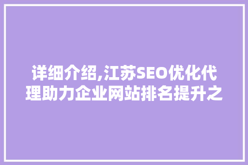 详细介绍,江苏SEO优化代理助力企业网站排名提升之路