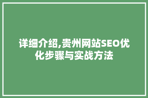详细介绍,贵州网站SEO优化步骤与实战方法