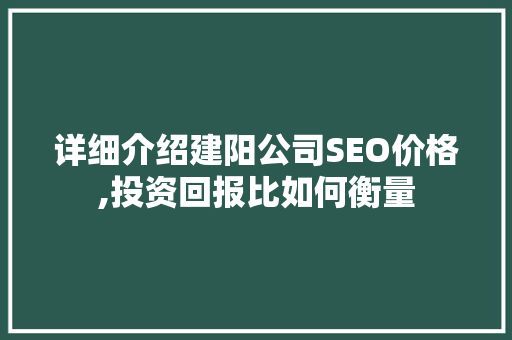 详细介绍建阳公司SEO价格,投资回报比如何衡量
