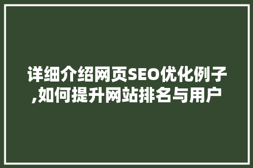 详细介绍网页SEO优化例子,如何提升网站排名与用户体验