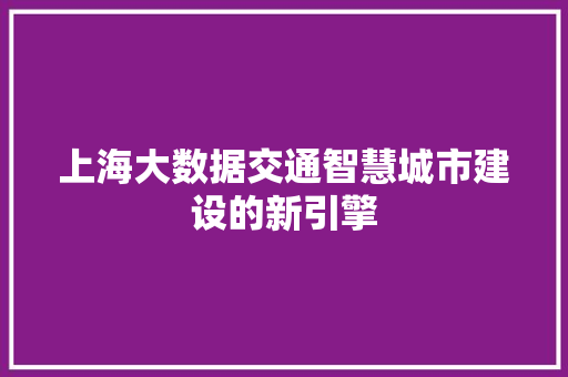 上海大数据交通智慧城市建设的新引擎
