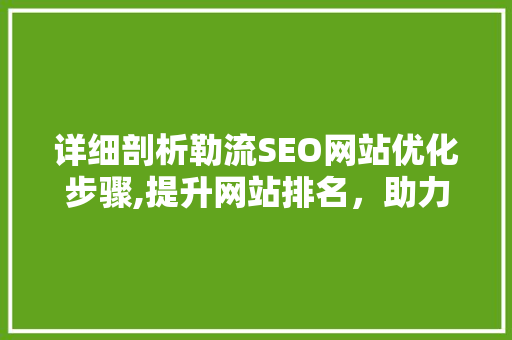 详细剖析勒流SEO网站优化步骤,提升网站排名，助力企业腾飞
