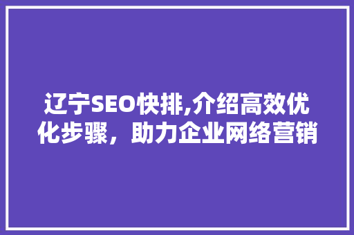辽宁SEO快排,介绍高效优化步骤，助力企业网络营销