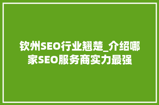 钦州SEO行业翘楚_介绍哪家SEO服务商实力最强