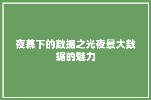夜幕下的数据之光夜景大数据的魅力