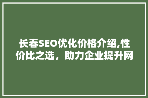 长春SEO优化价格介绍,性价比之选，助力企业提升网络竞争力