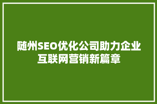 随州SEO优化公司助力企业互联网营销新篇章