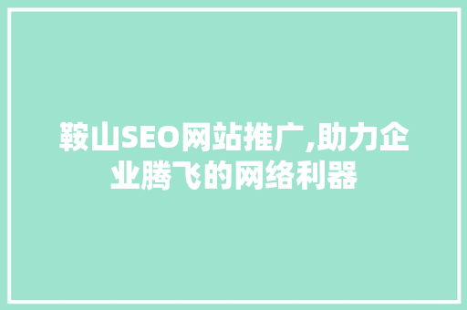鞍山SEO网站推广,助力企业腾飞的网络利器