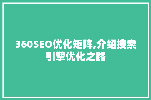 360SEO优化矩阵,介绍搜索引擎优化之路