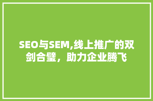 SEO与SEM,线上推广的双剑合璧，助力企业腾飞